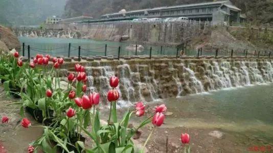 巴基斯坦卡拉奇发生枪击事件 致2死3伤